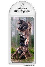 Black Bears Magnet