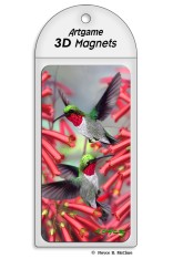 Hummingbirds Magnet