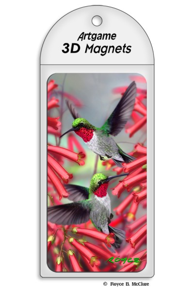 Hummingbirds Magnet
