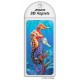 Seahorses Magnet