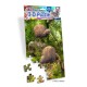 Royce 60pc Mini Puzzle - Kiwi 