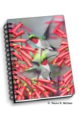 Royce Small Notebook - Hummingbirds 