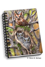 Royce Small Notebook - Owls 