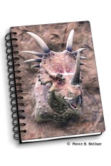 Royce Small Notebook - Styracosaurus 