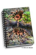 Royce Small Notebook - Tarantulas 