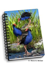 Royce Small Notebook - Wet Feet 