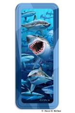 Royce Pencil Tin - Sharks 