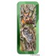 Royce Pencil Tin - Owls 