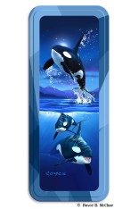 Royce Pencil Tin - Orcas 