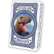 3D Dinosaur Playing cards