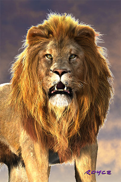 Lion Postcard