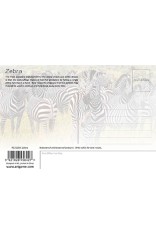 Zebra Postcard