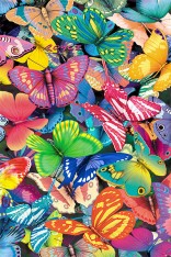 Butterfly Magic Postcard