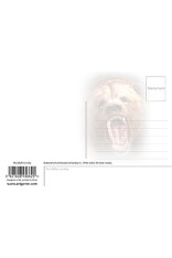 Grizzly Postcard