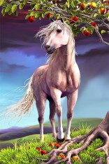 Horse Heaven Postcard