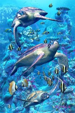 Coral Turtles Flip Postcard