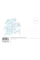 Royce 4"x6" Postcard - Dolphin Trio 