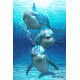 Royce 4"x6" Postcard - Dolphin Trio 