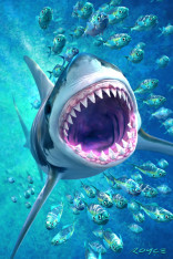 Royce 4"x6" Postcard - Great White Flip
