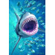 Royce 4"x6" Postcard - Great White Flip