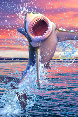 Royce 4"x6" Postcard - Great White Flip