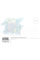 Royce 4"x6" Postcard - Manatee 