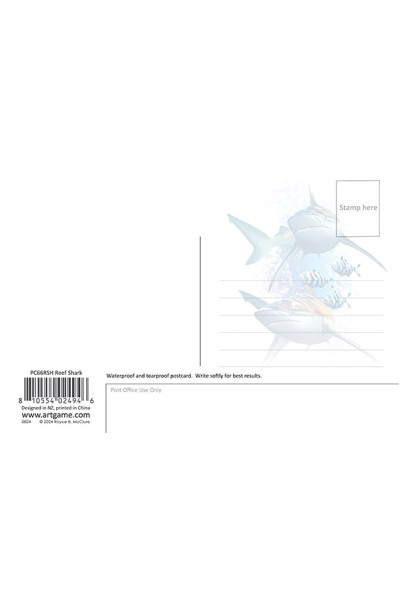 Royce 4"x6" Postcard - Reef Shark