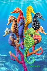 Royce 4"x6" Postcard - Seahorses 