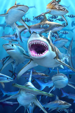 Royce 4"x6" Postcard - Shark Club