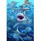 Royce 4"x6" Postcard - Shark Club