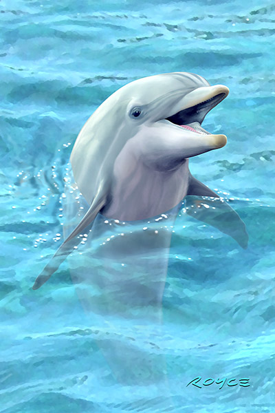 Royce 4"x6" Postcard - Talking Dolphin