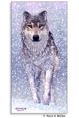 Snow Wolf Poster