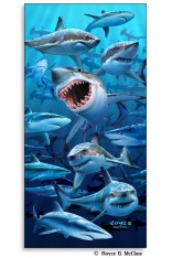 Sharks Poster