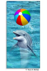 Beach Ball Poster