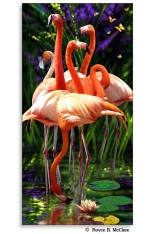 Flamingos Poster