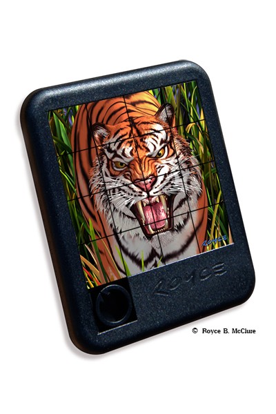 Tiger Trouble Slide Puzzle