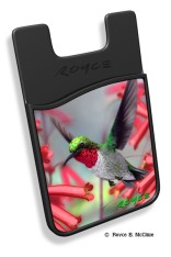 Hummingbirds Smart Pocket